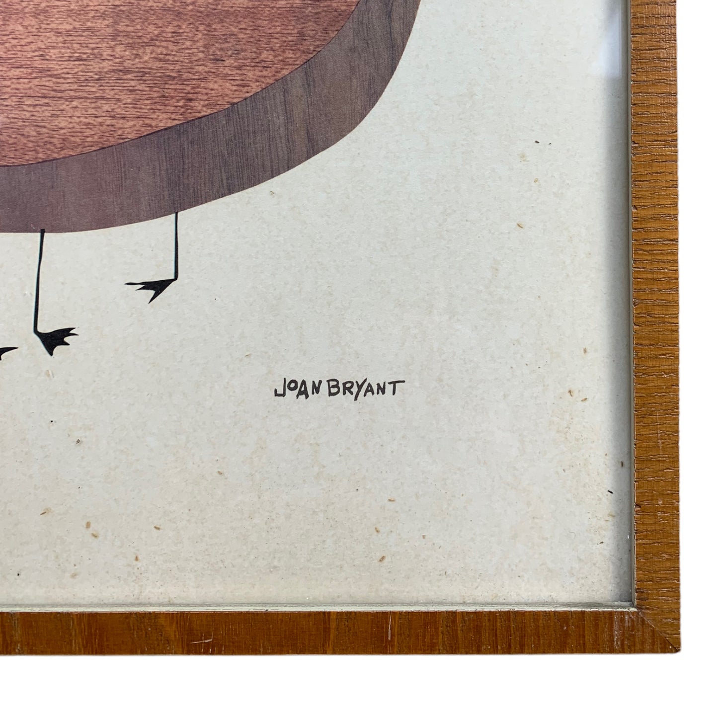 Joan Bryant - Bird print Midcentury - mit Rahmen