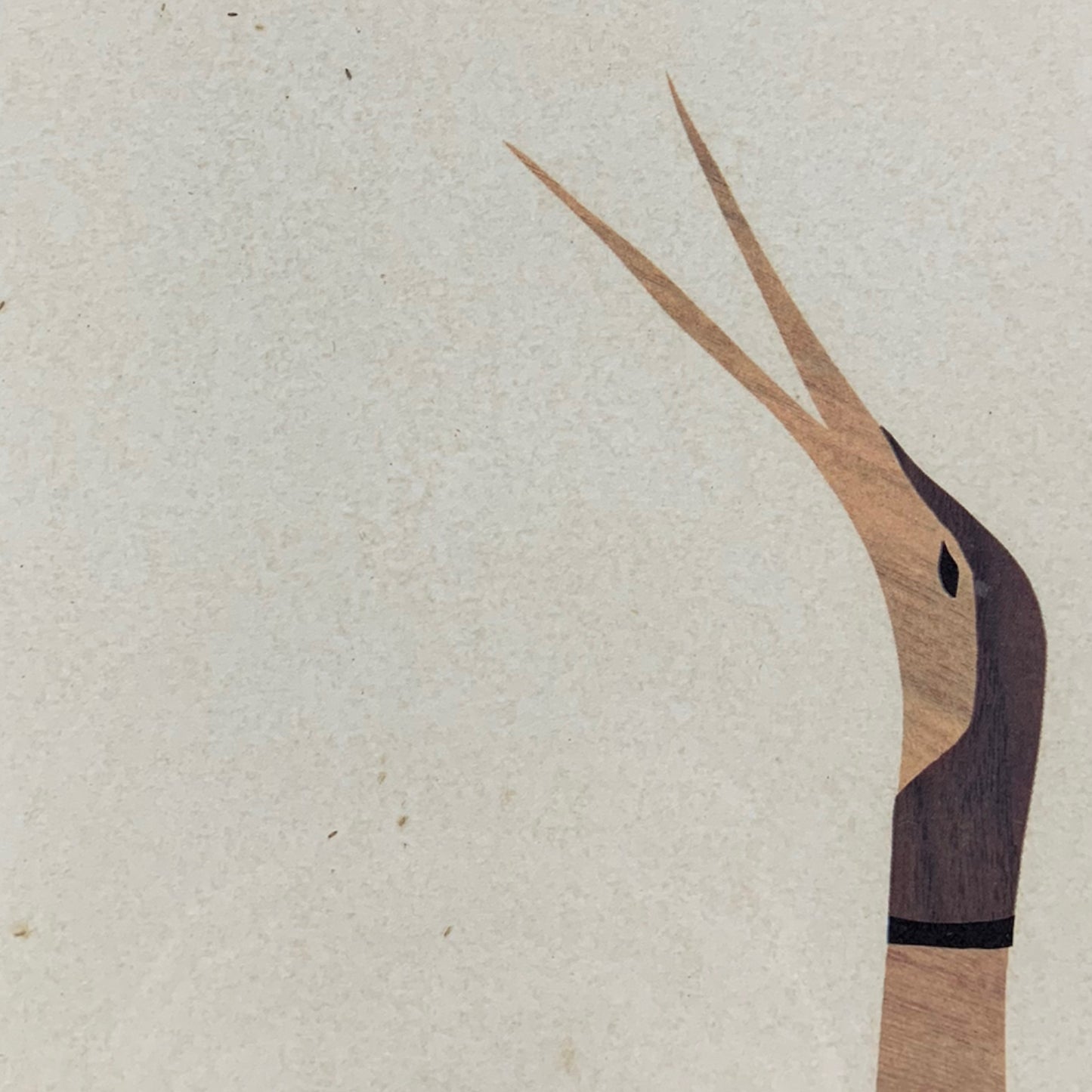 Joan Bryant - Bird print Midcentury - mit Rahmen