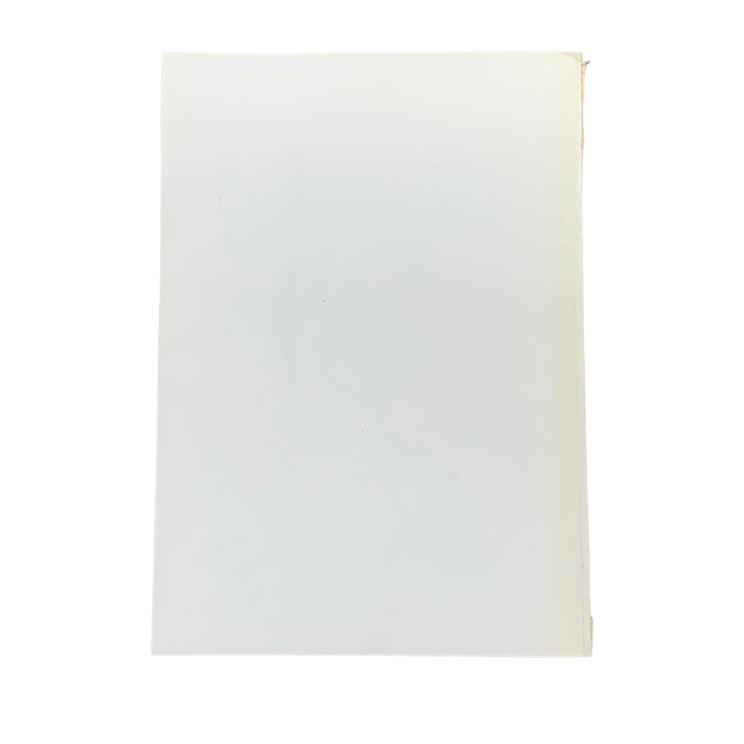 Schang Hutter - Arbeiten zur Figurengruppe vertschaupet 1980 - Buch