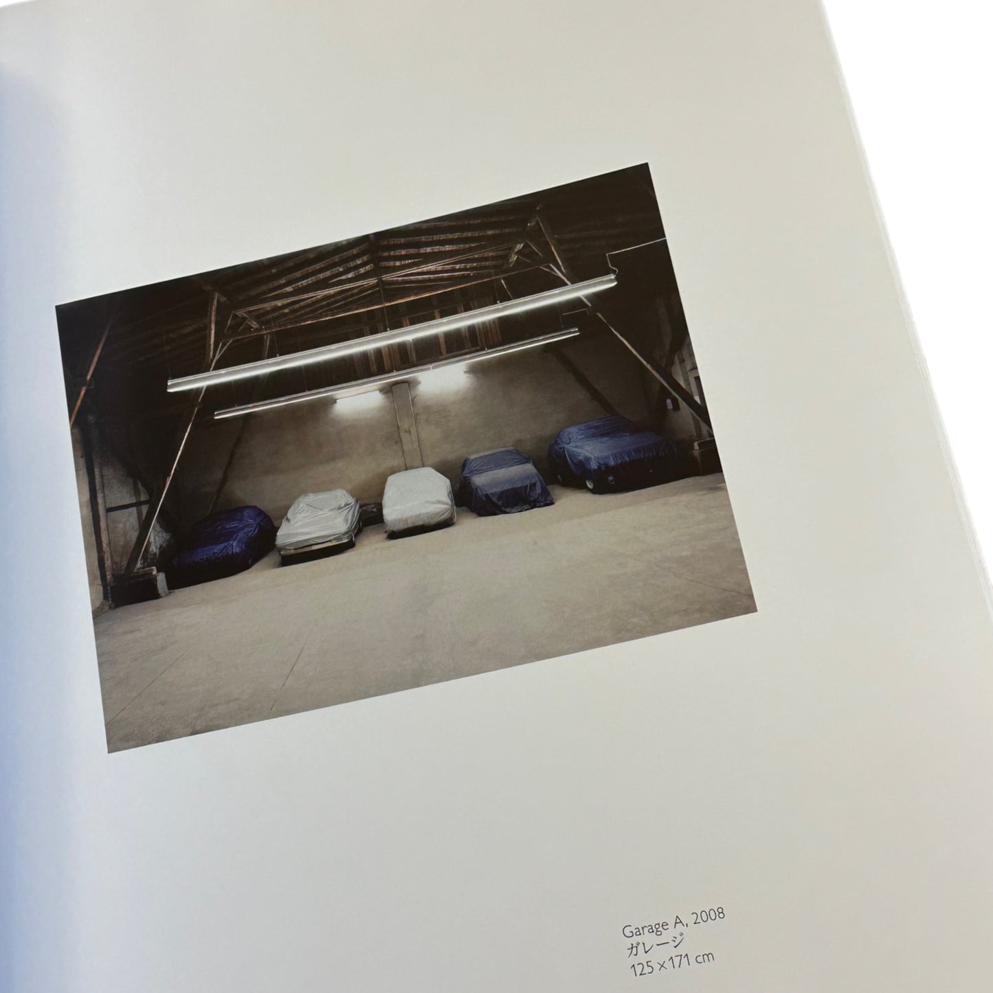 Creatures of the 20th Century - Ricarda Roggan - Bildband - Prestel