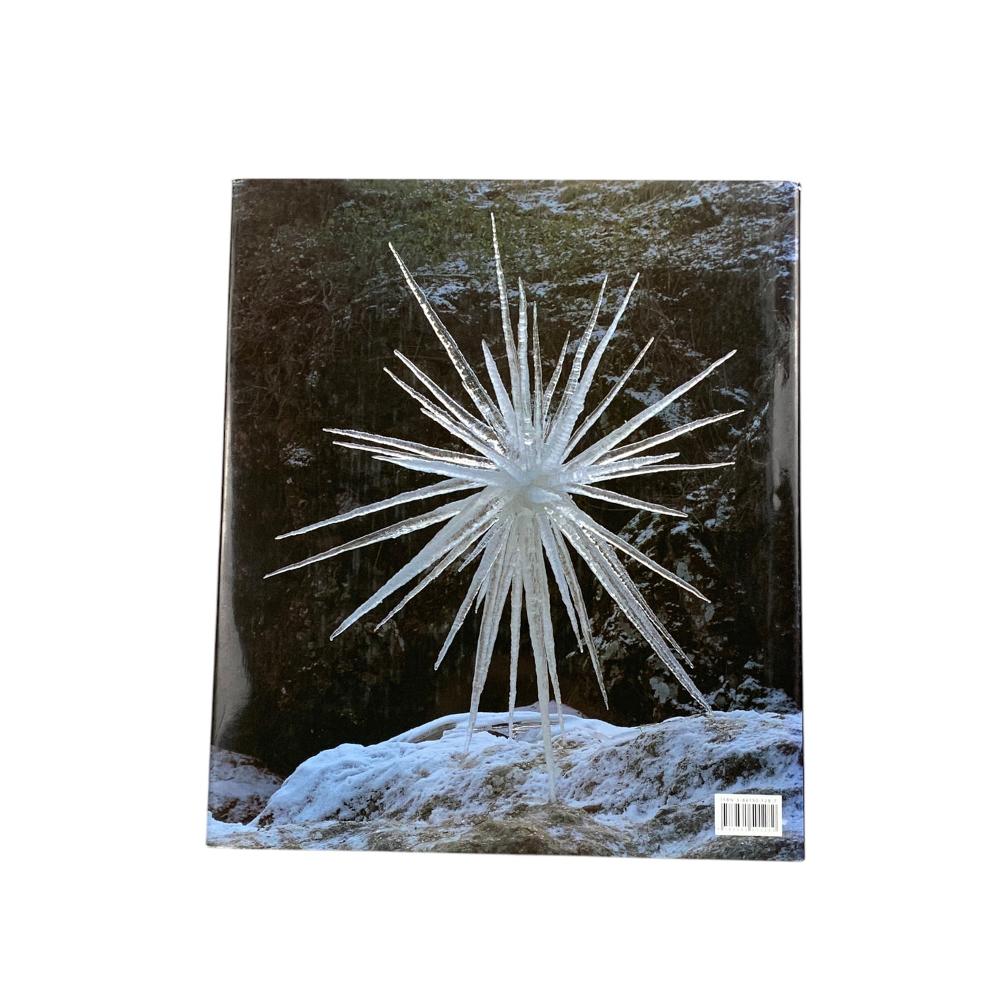 Andy Goldsworthy - Zweitausendeins 1991 - Bildband - Buch