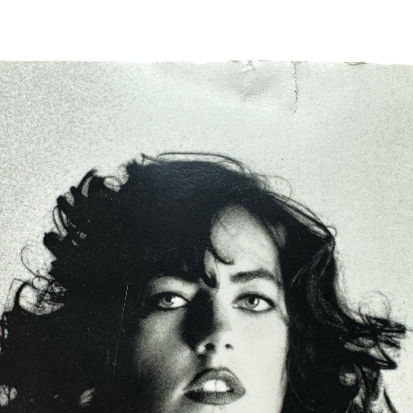 Helmut Newton Sumo Präsentations Poster 1999
