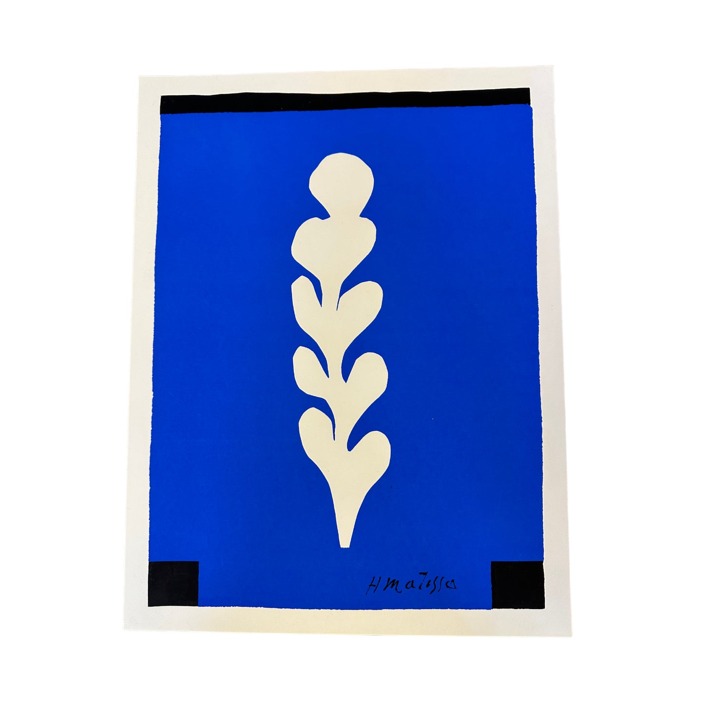 Henri Matisse - Weisse Palme auf Blauem - Serigraphie - Spadem 1971