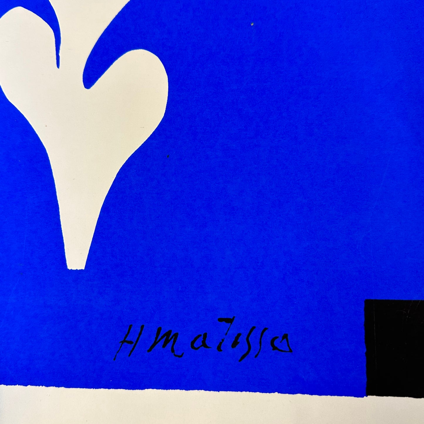 Henri Matisse - Weisse Palme auf Blauem - Serigraphie - Spadem 1971