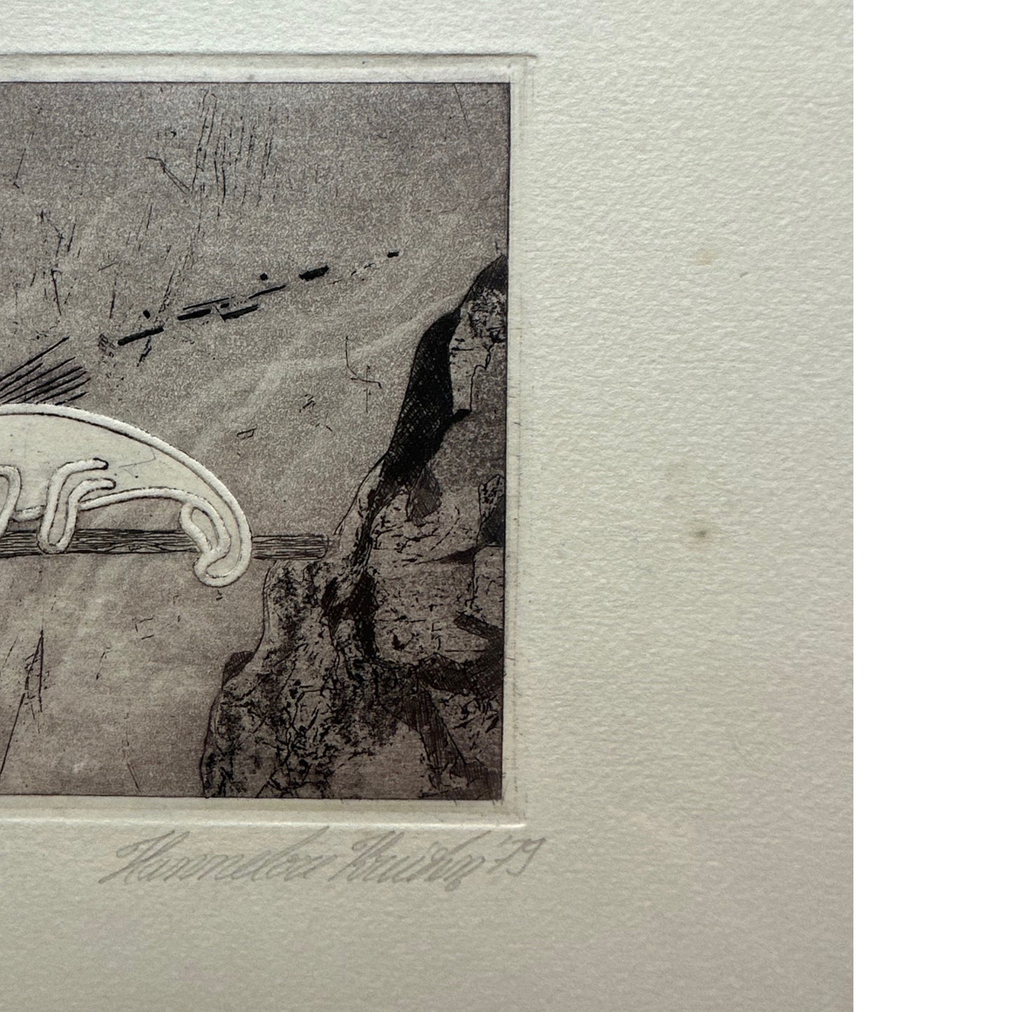 Unknown Artist - Lithographie Chamäleon - gerahmt