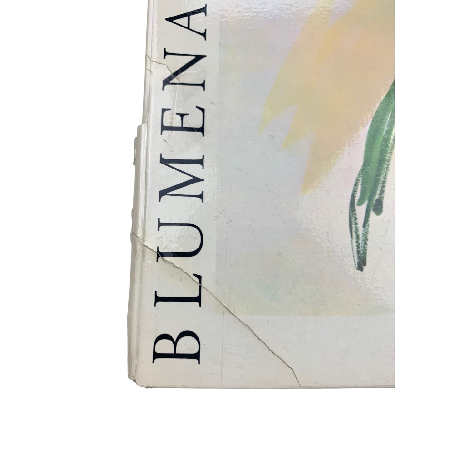 Blumenaquarelle II - Oskar Kokoschka - Rascher Verlag