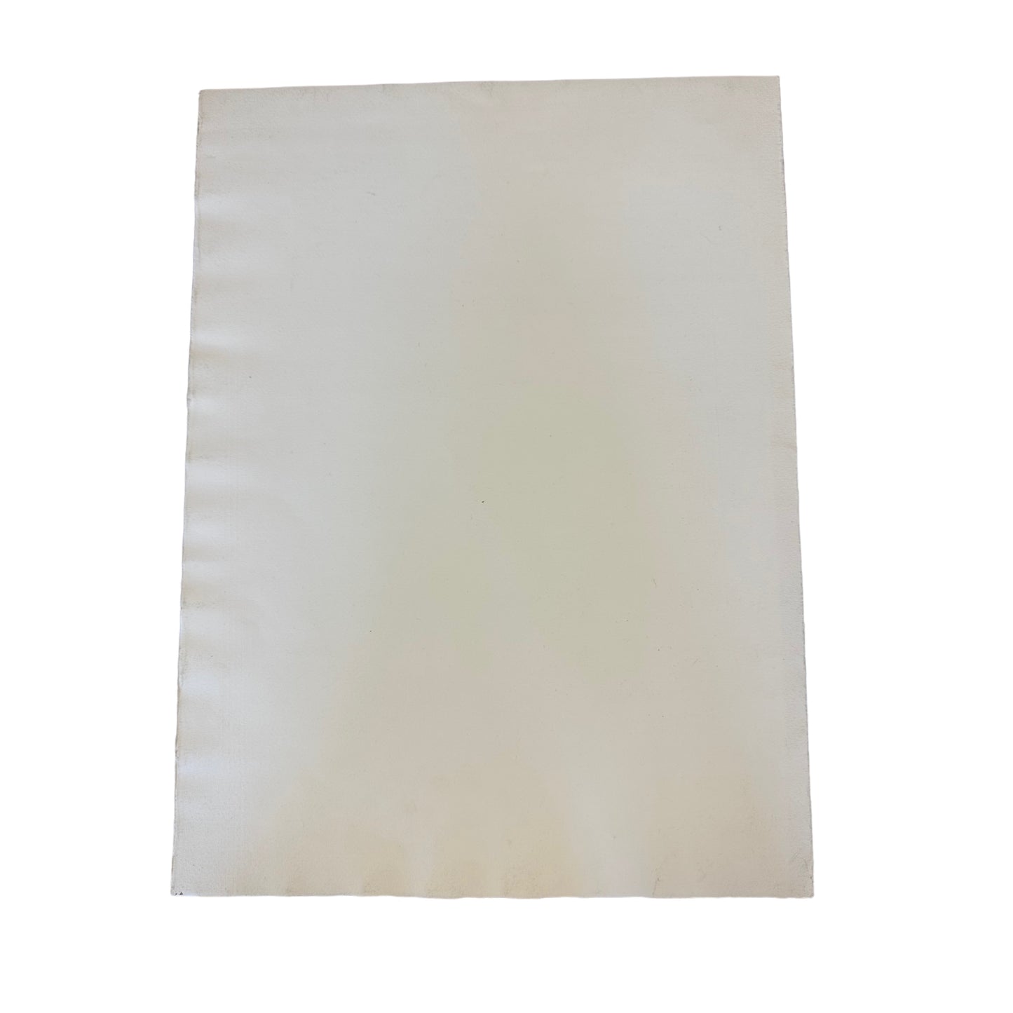 Unkown Artist - Lithographie - Schwan - 71/100