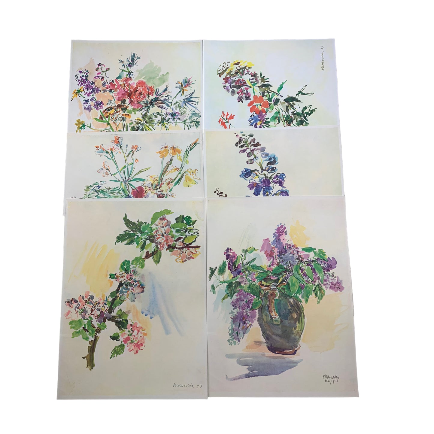 Blumenaquarelle II - Oskar Kokoschka - Rascher Verlag