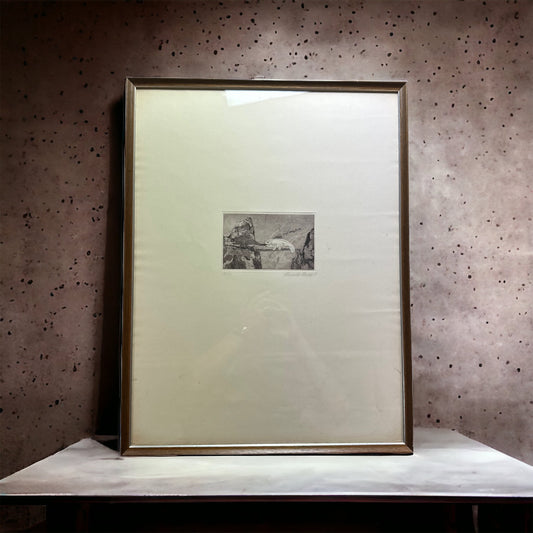 Unknown Artist - Lithographie Chamäleon - gerahmt